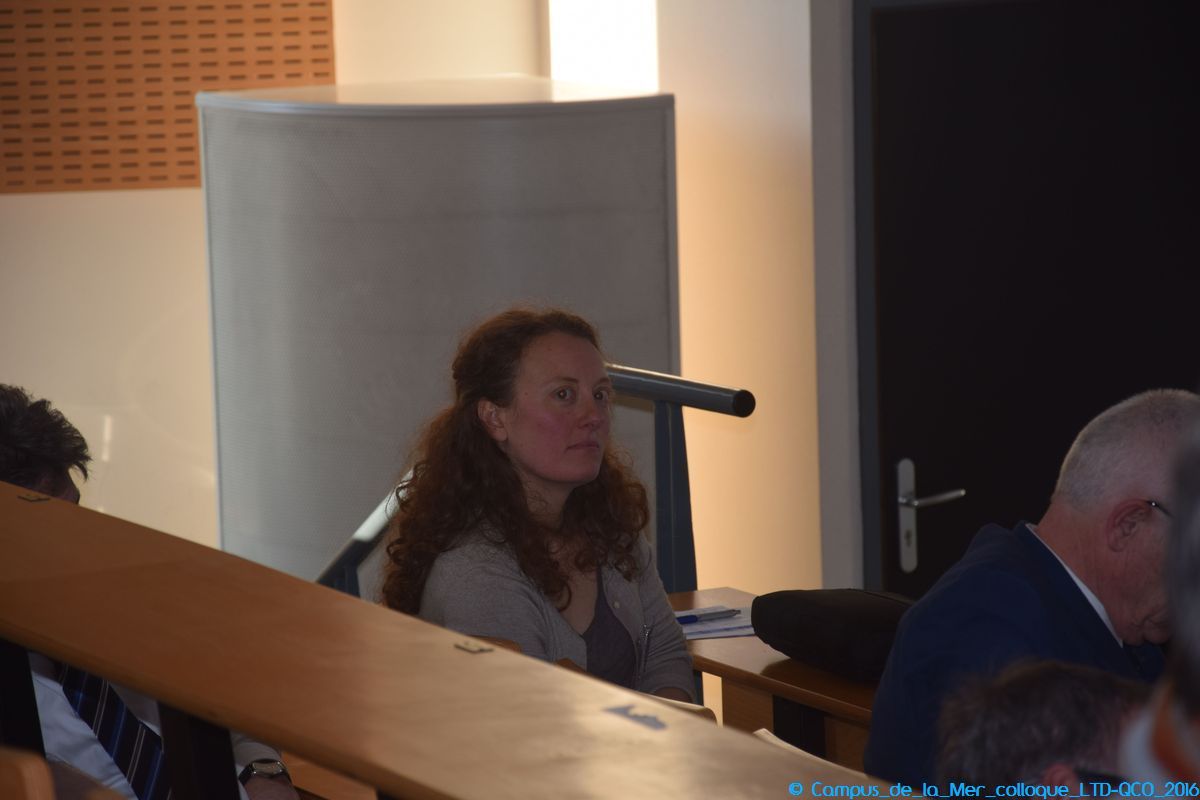 Travaux scientifiques sur le littoral