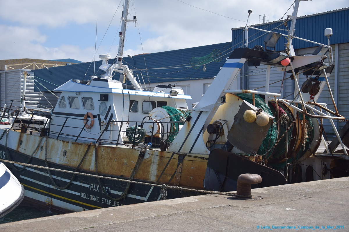 Programme de recherche PEROPALE : pêche récréative sur la Côte d'Opale